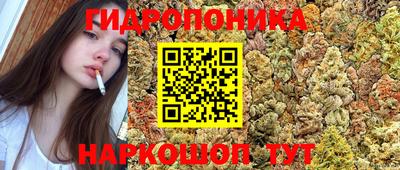 шишки Малоярославец